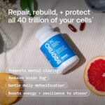 body bio pc benefits