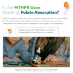Kids Formula L-Methylfolate 5-MTHF Plus B12 benefits