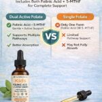 Infographic comparing Dual Active Folate Formula with Folinic Acid + 5-MTHF vs. Single Folate, centered by a VS shield, with a bottle of drops on the left and a dropper on the right.