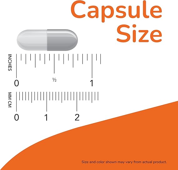 Super Enzymes 3 Capsule size infographic: gray capsule next to inch and cm rulers; note at bottom says size and color may vary.