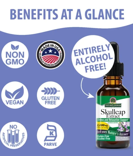 Infographic of Skullcap Extract benefits: non-GMO, vegan, gluten-free, no artificial preservatives, parve, alcohol-free; bottle on right.
